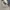 LMC NOT STUSSY NIKE CARHAT DICKIES NBA UNIQLO H&M photo 4