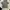 BAN DAVIS NOT STUSSY CARHAT DICKIES NIKE PUMA UNIQLO H&M  photo 1