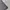 BAN DAVIS NOT STUSSY CARHAT DICKIES NIKE PUMA UNIQLO H&M  photo 3
