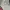 covernat not stussy nike dickies carhat grooverhyme uniqlo  photo 5