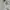 covernat not stussy nike dickies carhat grooverhyme uniqlo  photo 3