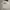 covernat not stussy nike dickies carhat grooverhyme uniqlo  photo 1