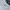 covernat not stussy nike lmc dickies carhat patagonia oakley photo 3