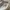 covernat not stussy nike lmc dickies carhat patagonia oakley photo 4