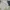 covernat not stussy nike lmc dickies carhat patagonia oakley photo 2
