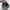 Converse Chuck Taylor 70 Low  photo 5