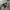 Tractop ellese black white photo 1