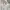 H&M Streetwear Casual Sweater Wanita white photo 3