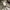 Le Coq Sportif Casual Hat Wanita gray photo 6