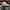 Le Coq Sportif Casual Hat Wanita gray photo 4