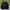 SWEATSHIRT "NATIONAL GEOGRAPHIC" TALESTO OVERFIT photo 6
