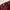 Gramicci Vintage Y2K Casual pants Pria burgundy photo 5