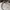Casual Hat Pria white photo 6