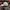 Casual Hat Pria white photo 2