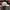 Casual Hat Pria white photo 4