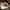 47 Brand Casual Hat Pria white photo 5