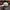 47 Brand Casual Hat Pria white photo 2