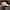 47 Brand Casual Hat Pria white photo 4