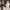 47 Brand Casual Hat Pria white photo 7