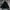 Anti Label Military type  N3b jacket photo 1