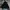 Anti Label Military type  N3b jacket photo 2