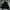 Anti Label Military Type  N3b Jacket