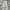 LOOSE JEANS SNOWGREY