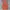 Salomon Gorpcore Casual Puffer jacket Pria orange photo 2