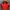 Streetwear Casual Track jacket Pria red photo 1
