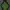 Columbia Gorpcore Track Jacket Pria Green