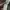Columbia Gorpcore Track jacket Pria green photo 6