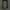 Columbia Gorpcore Track jacket Pria green photo 5