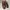 Zara Men Brown Shoes Oxford Style photo 1