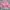 Victoria’s Secret Sportswear Bra Wanita pink photo 2