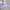 Sportswear Bra Wanita purple photo 6