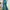 Shein Avant Garde Indie Flare pants Wanita white blue photo 2