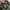 Cargo camo military  photo 4