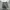 Shorts cargo army white “can your” photo 4
