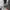 Shorts cargo army white “can your” photo 2