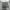 Shorts cargo army white “can your” photo 3