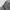 Shorts cargo army white “can your” photo 6