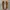 Vans x Leila Hurst Style 36 Decon SF Original photo 5