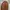 Vans x Leila Hurst Style 36 Decon SF Original photo 6
