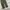 Musinsa standard tapered fit pants  photo 5