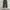 Musinsa standard tapered fit pants  photo 3