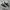 Converse Chuck Taylor All Star 70S Low Black White photo 1