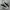 Converse Chuck Taylor All Star 70S Low Black White