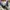 Converse Chuck Taylor All Star 70S High Blue White photo 6