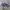 Converse Chuck Taylor All Star 70S High Blue White photo 1