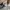 Converse Chuck Taylor All Star 1970 High Saddle Egret photo 5
